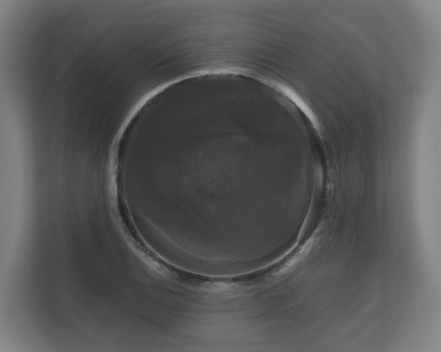X0000111121124200906301305