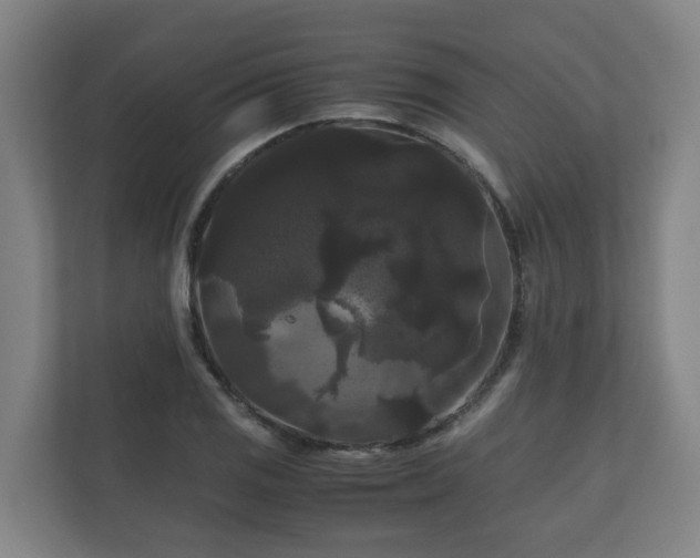 X0000111121125200906301305
