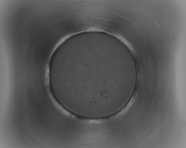 X0000111121126200906301305
