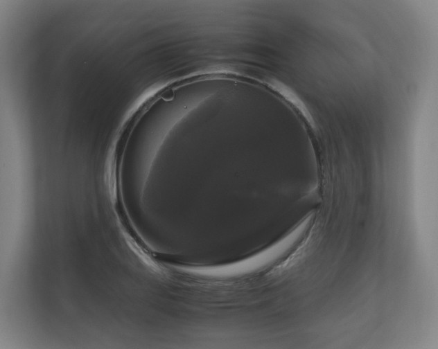 X0000111121127200906301305