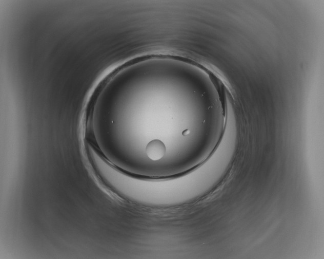 X0000111121128200906301305