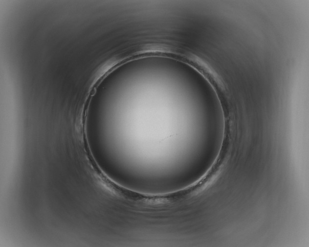 X0000111121129200906301305