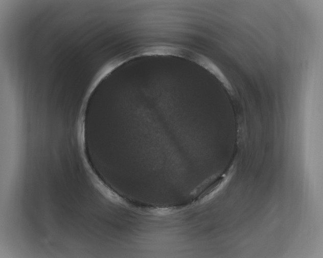 X0000111121130200906301305