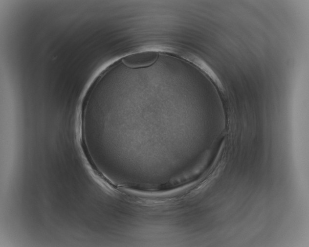 X0000111121132200906301305