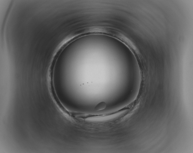 X0000111121133200906301305