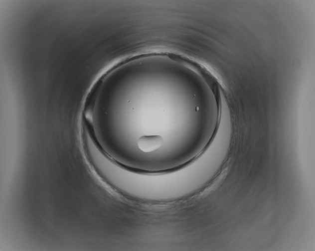 X0000111121134200906301305