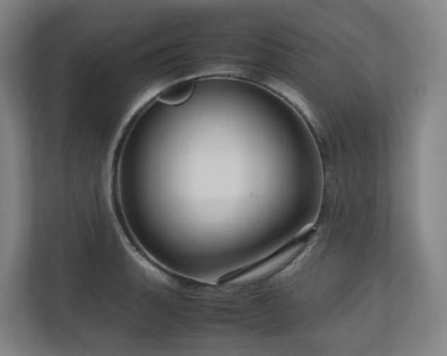 X0000111121135200906301305