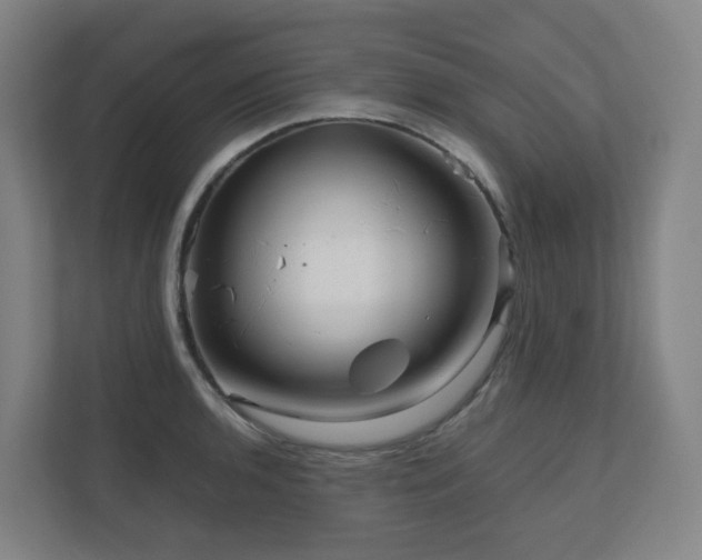 X0000111121136200906301305