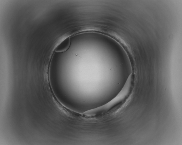 X0000111121137200906301305