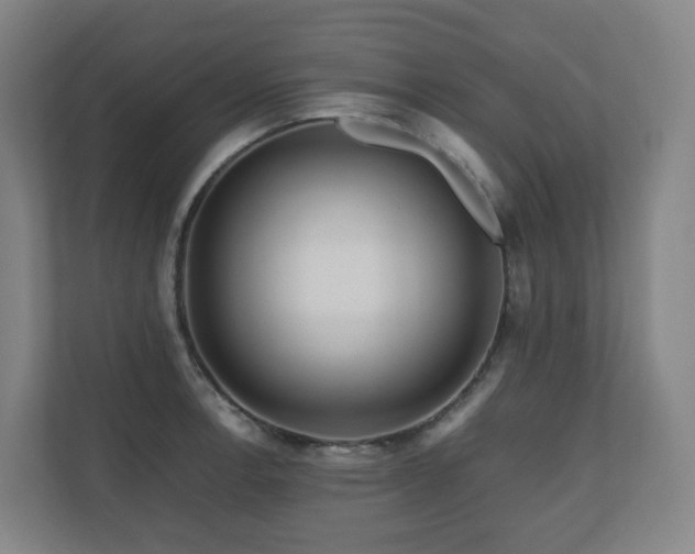 X0000111121138200906301305