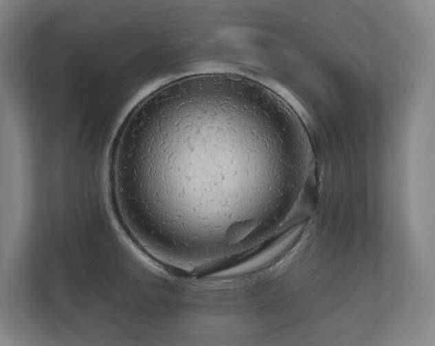 X0000111121142200906301305