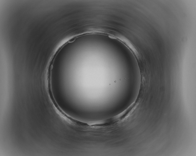 X0000111121143200906301305