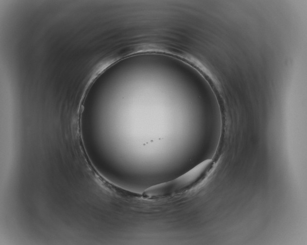 X0000111121145200906301305