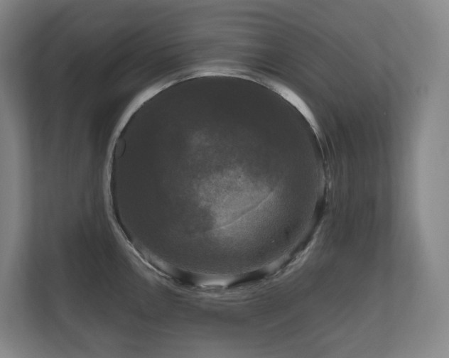 X0000111121146200906301305