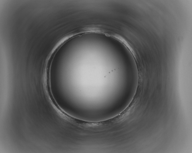 X0000111121147200906301305