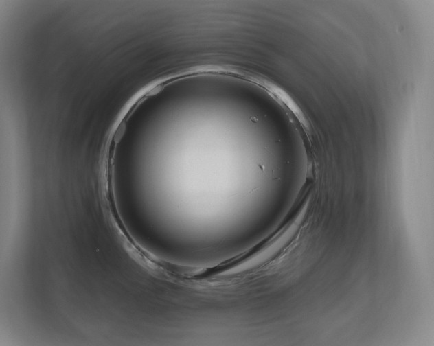 X0000111121148200906301305