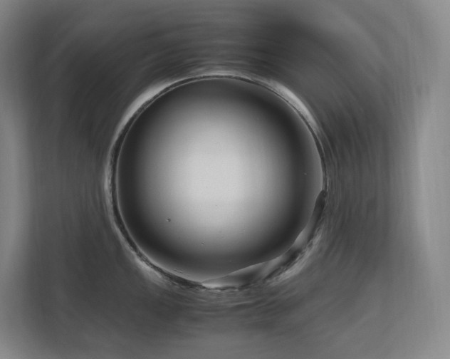 X0000111121149200906301305