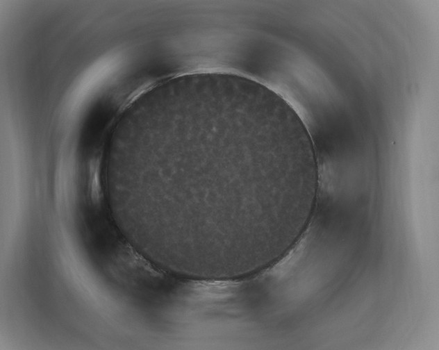 X0000111121150200906301305