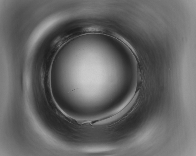 X0000111121151200906301305
