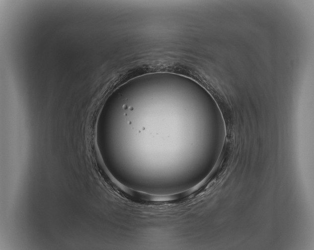 X0000111121153200906301305