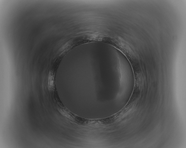 X0000111121154200906301305