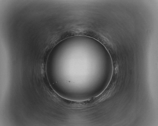 X0000111121156200906301305