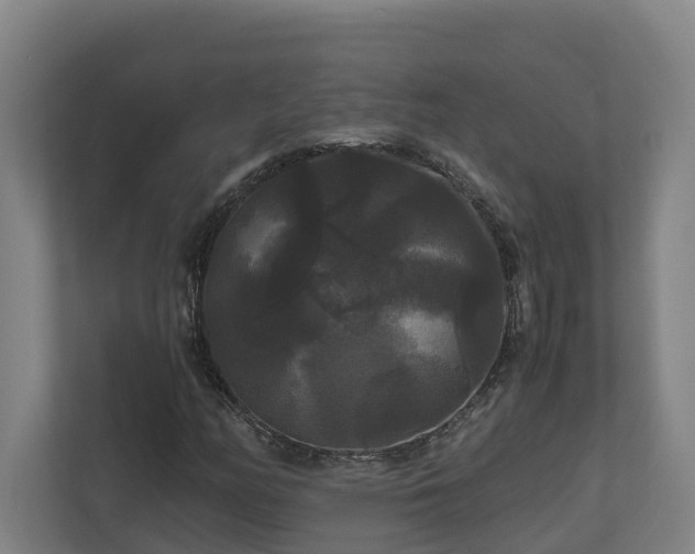 X0000111121158200906301305
