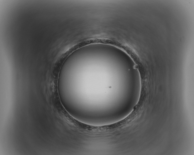 X0000111121159200906301305