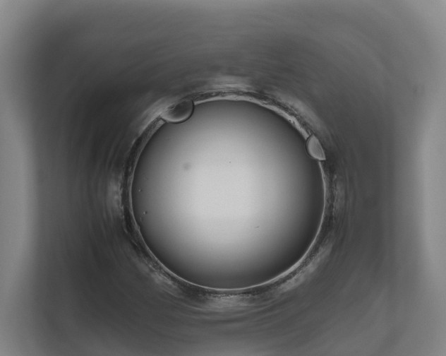 X0000111121162200906301305
