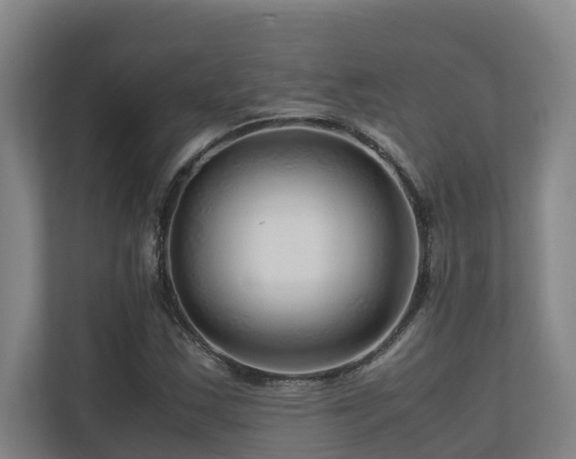 X0000111121163200906301305