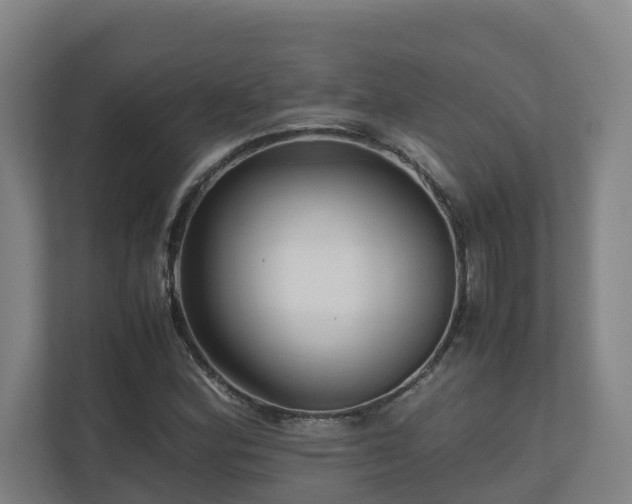 X0000111121164200906301305