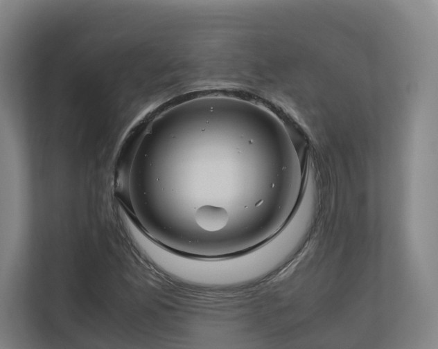 X0000111121165200906301305