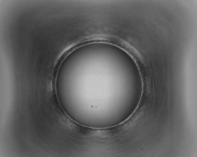 X0000111121166200906301305