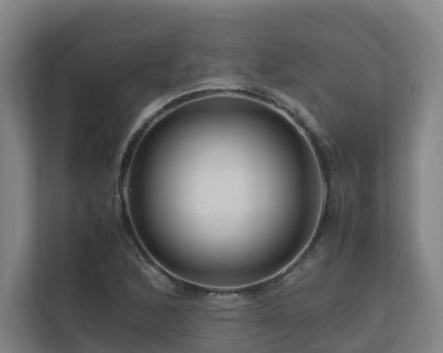 X0000111121168200906301305