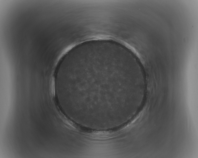 X0000111121171200906301304