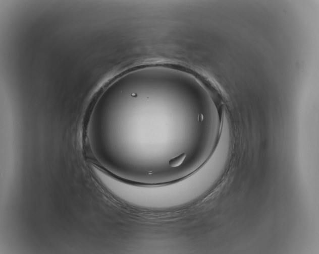 X0000111121173200906301304