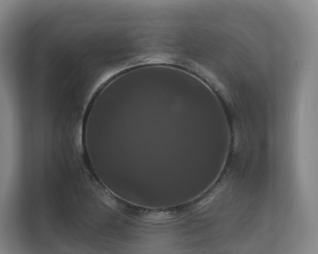 X0000111121174200906301304