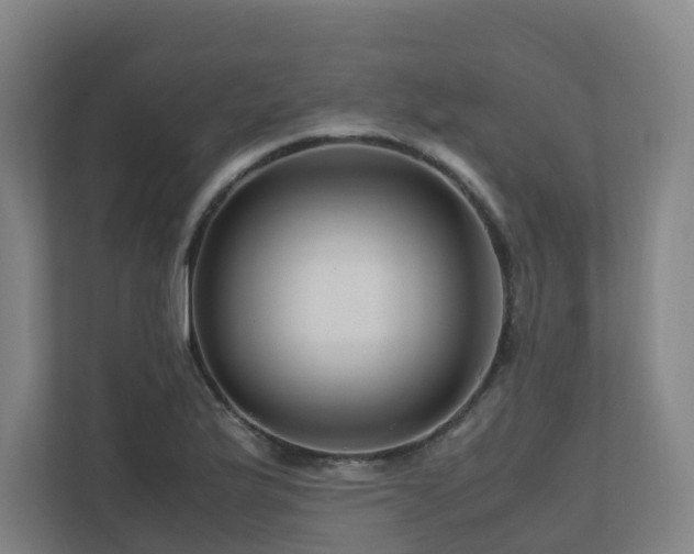 X0000111121175200906301304