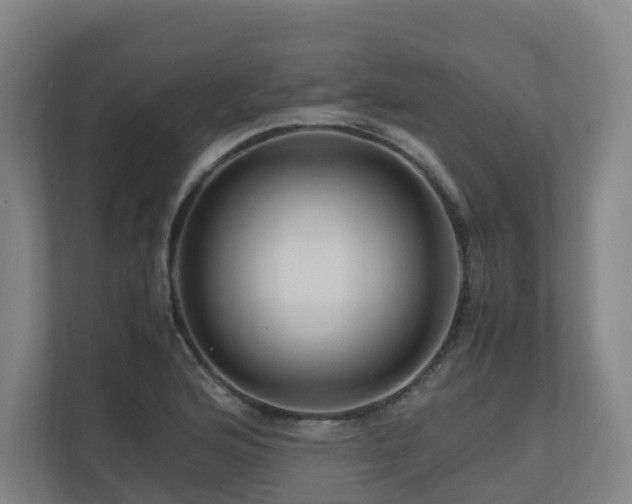 X0000111121176200906301304