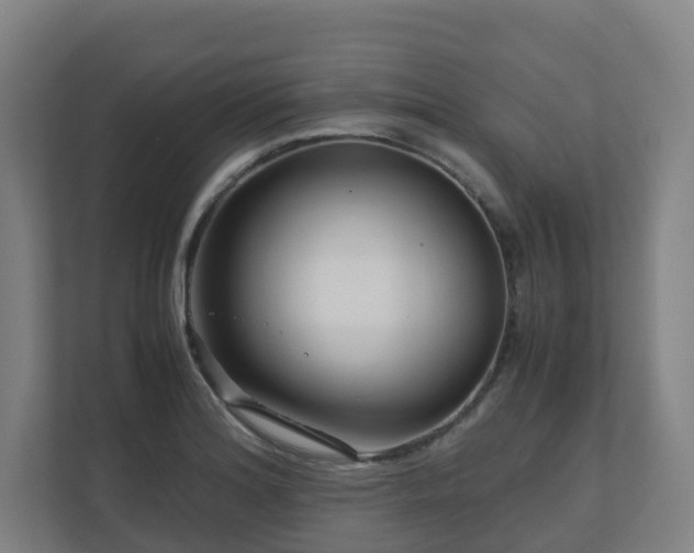X0000111121180200906301304