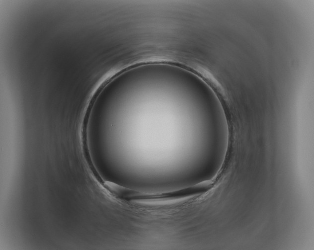 X0000111121181200906301304