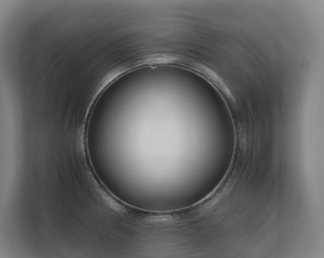 X0000111121186200906301304