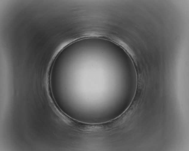 X0000111121187200906301304