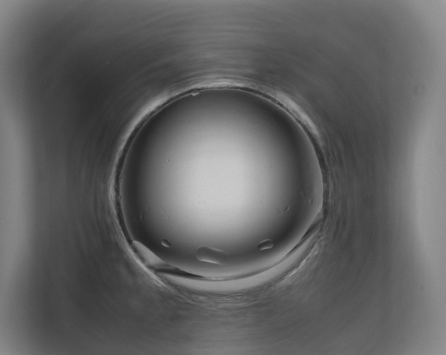 X0000111121189200906301304