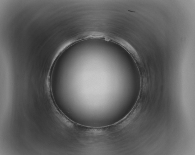 X0000111121190200906301304