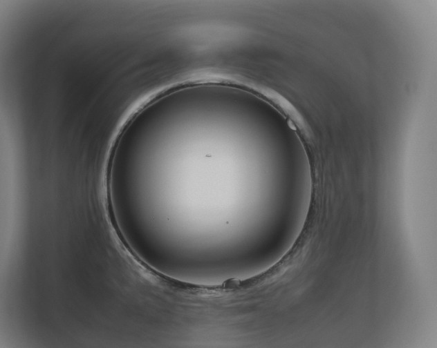 X0000111121191200906301304