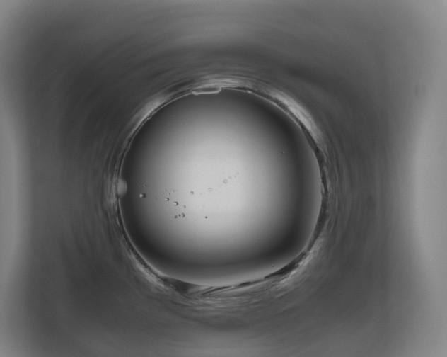 X0000111121193200906301304