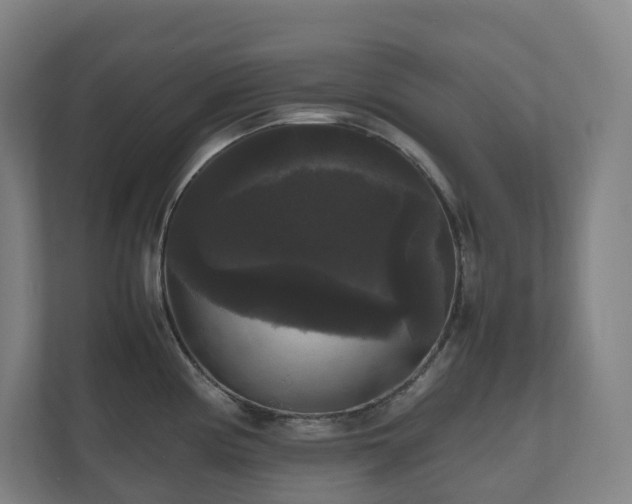 X0000111121194200906301304