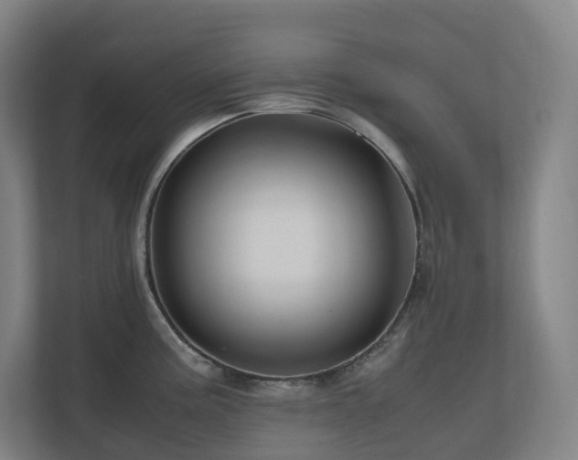 X0000111121195200906301304