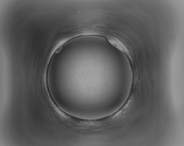 X0000111121197200906301304